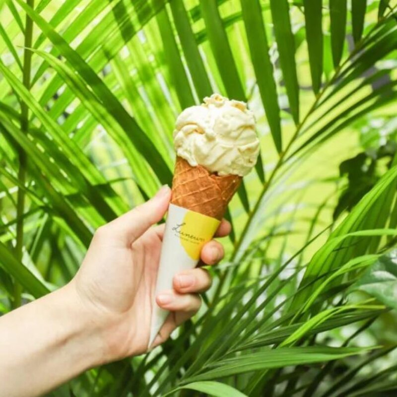 上海必刷的19支网红冰淇淋，甜爆一整个夏天(15)