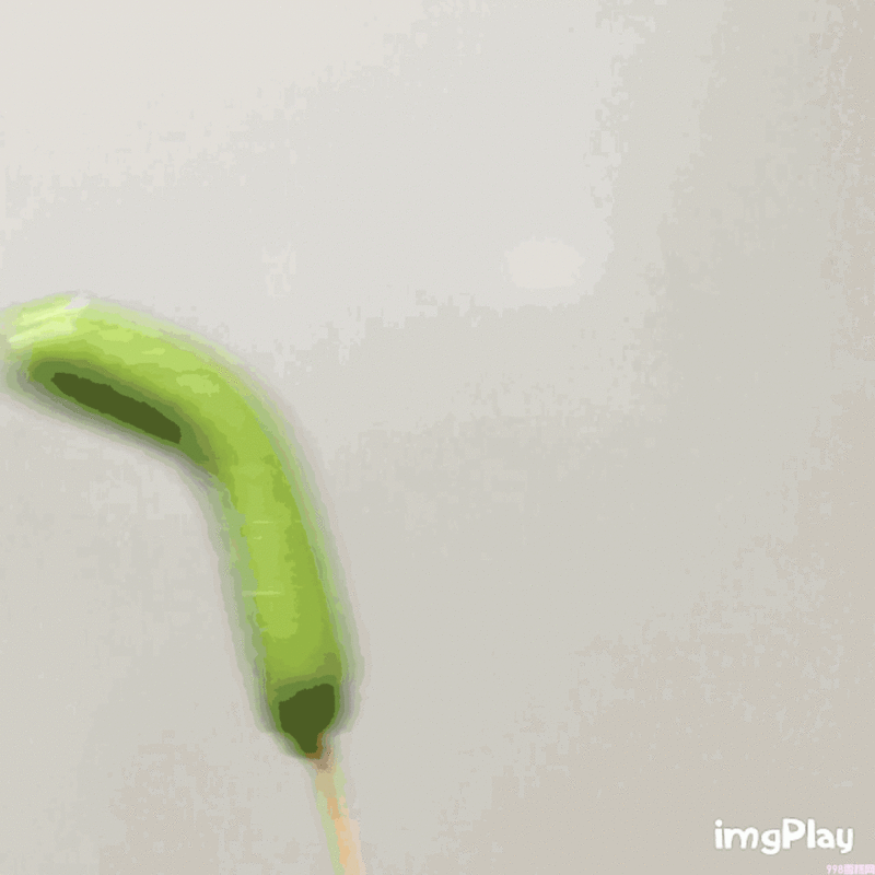 一支雪糕66元！在深圳，你敢“雪糕自由”吗？(16)