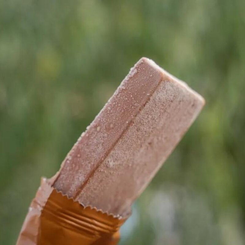 东北有名的雪糕叫什么,能让南方人自动认输的(10)