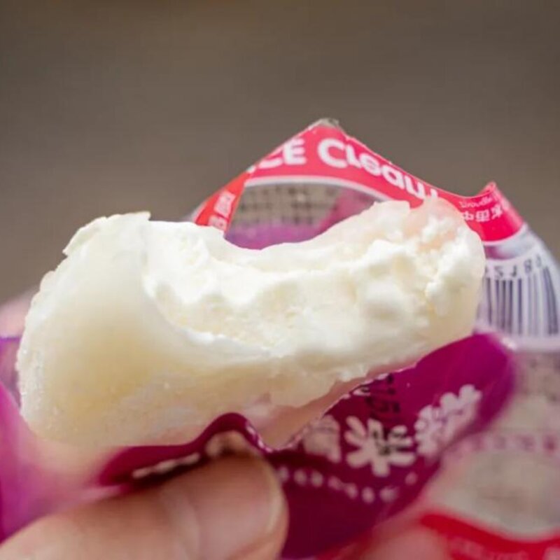 东北有名的雪糕叫什么,能让南方人自动认输的(14)