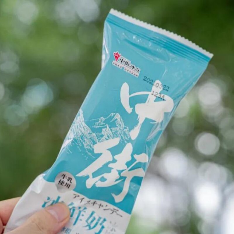 东北有名的雪糕叫什么,能让南方人自动认输的(16)