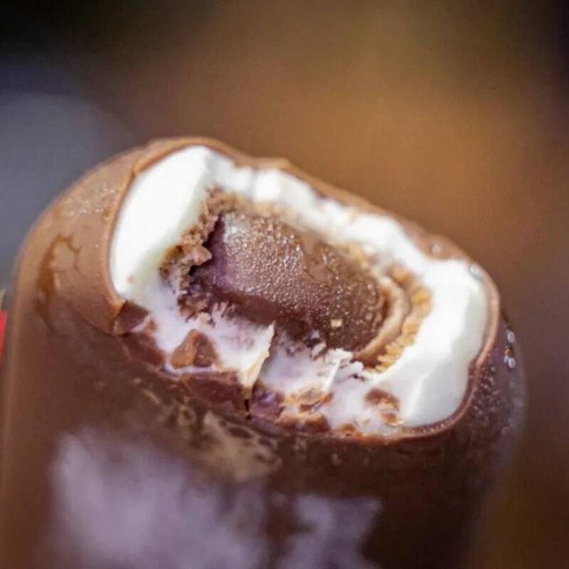 东北有名的雪糕叫什么,能让南方人自动认输的(19)