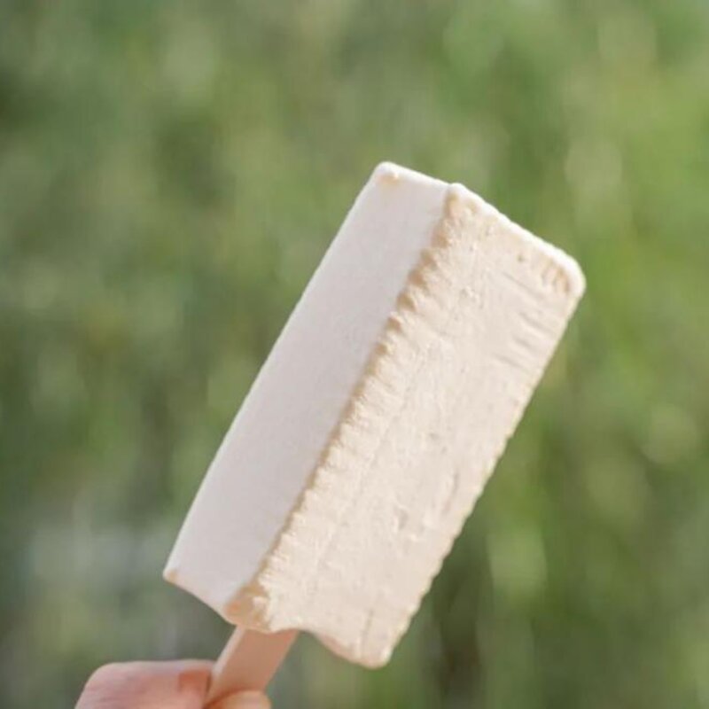 东北有名的雪糕叫什么,能让南方人自动认输的(28)