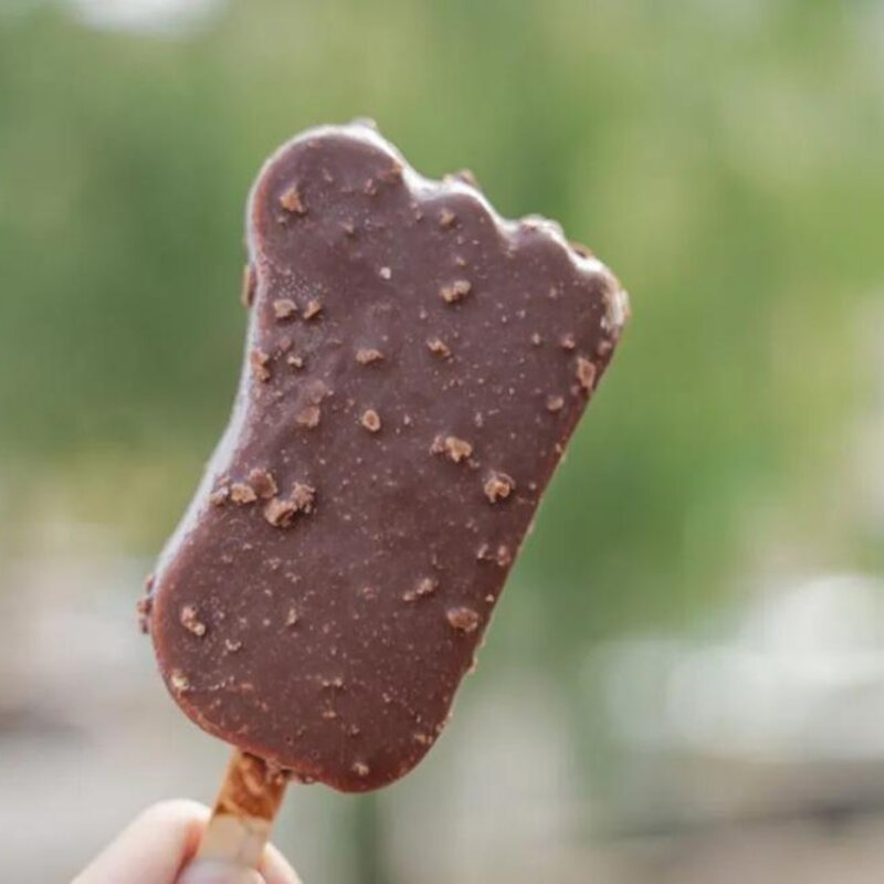 东北有名的雪糕叫什么,能让南方人自动认输的(41)