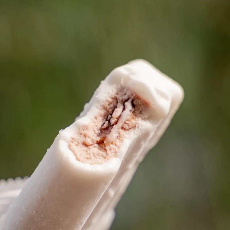 东北有名的雪糕叫什么,能让南方人自动认输的(40)