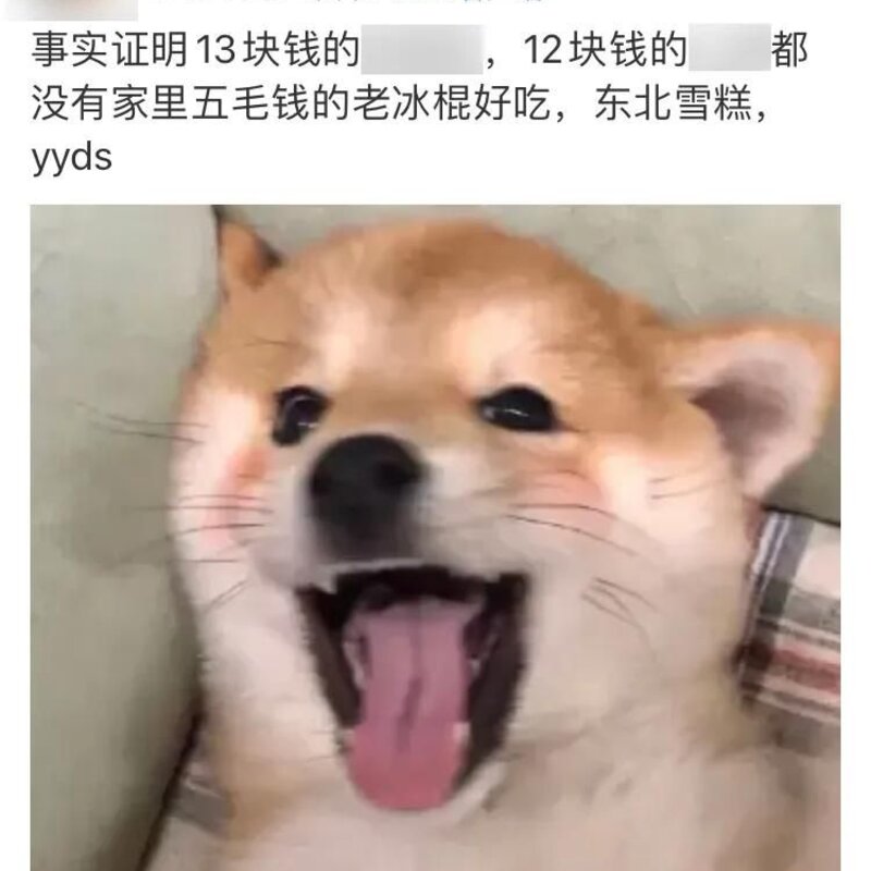 网红雪糕越贵越难吃，为什么现在雪糕这么贵(6)