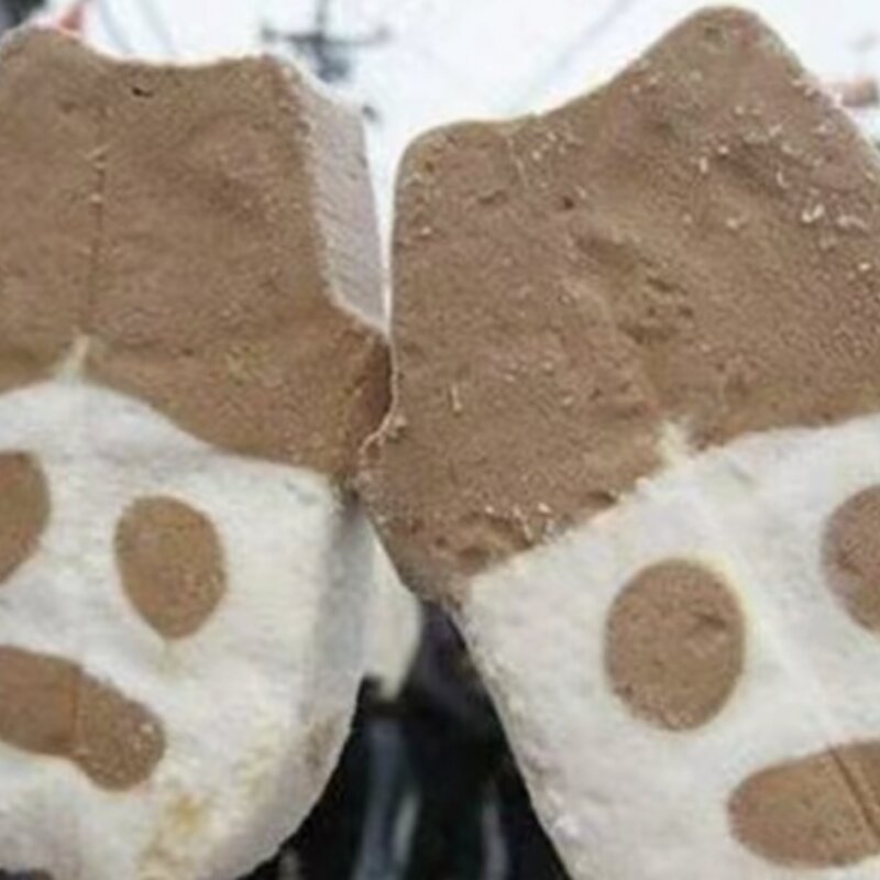 这八款童年经典，才是雪糕里面永远滴神,你吃过么(14)