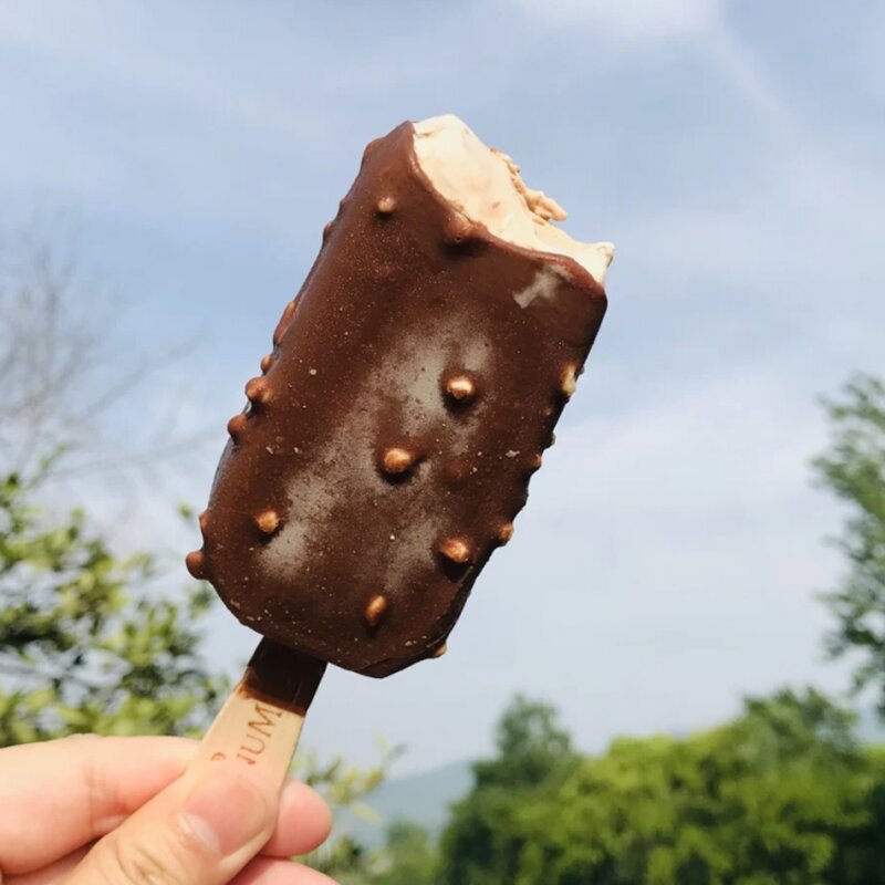 钟薛高，梦龙，你更喜欢什么雪糕(6)