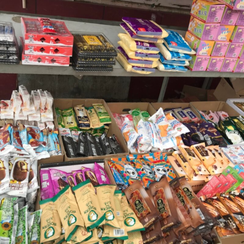 90年代的东北小孩，一年四季起早贪黑都在干嘛？啃雪糕？(2)