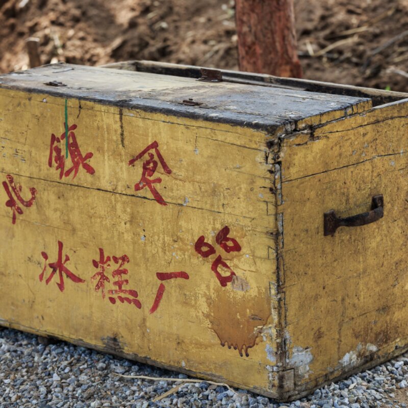 90年代的东北小孩，一年四季起早贪黑都在干嘛？啃雪糕？(3)