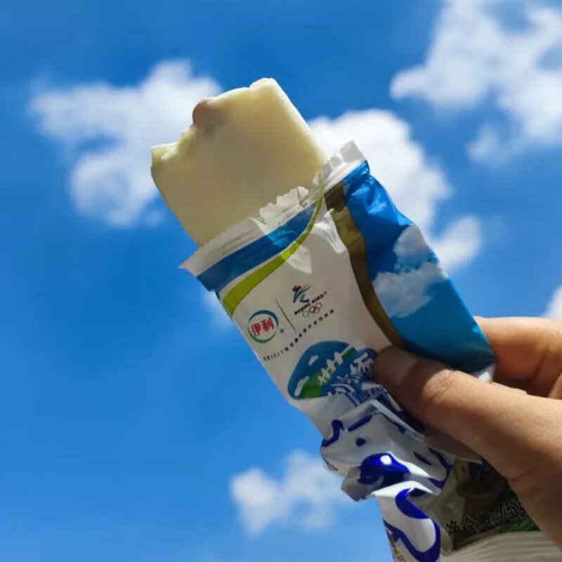 90年代的东北小孩，一年四季起早贪黑都在干嘛？啃雪糕？(11)