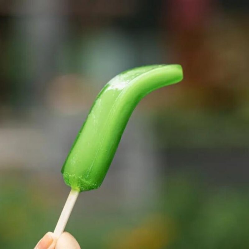 伊利小布丁雪糕多少钱一个(好吃又便宜的雪糕冰棍)(11)