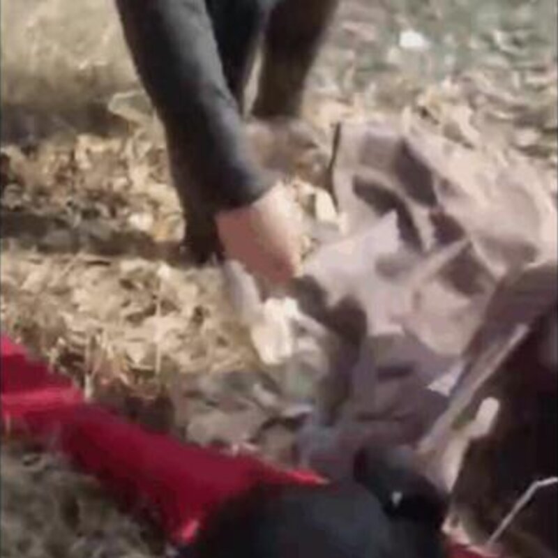 妈，你可太能干了（生命如此可贵，值得每个人珍重以对）(4)